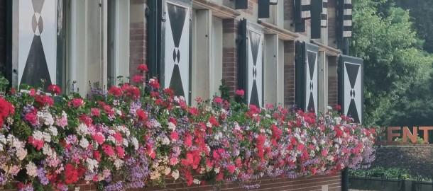 gemeentehuis bloemen.jpg