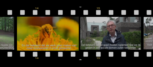 videostrip2021-07-09 004029.png
