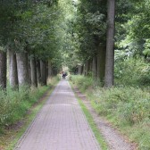 laan stikstof lowres DSC_0175.jpg